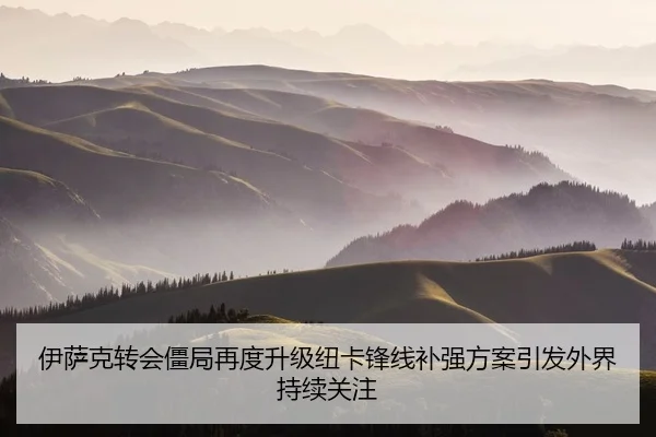 伊萨克转会僵局再度升级纽卡锋线补强方案引发外界持续关注